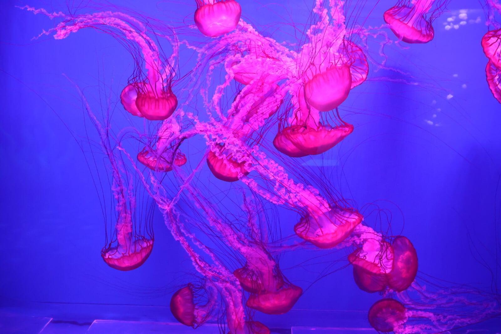 Relating to Physical World!